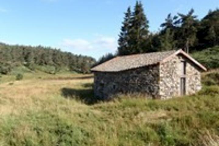 Moulin de Courbet - Villeneuve